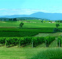 Acacia Ridge Vineyard - Accommodation in Bendigo