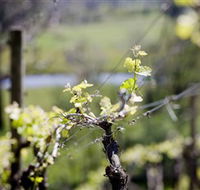 Adventure Estate - Accommodation in Bendigo