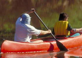 Yarra Bend Park - Accommodation in Bendigo 0