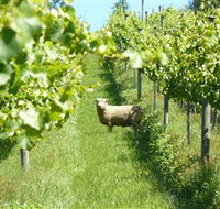 Passing Clouds - Accommodation in Bendigo