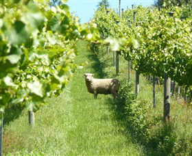 Passing Clouds - Accommodation in Bendigo 0
