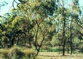 Mystic Park VIC Accommodation in Bendigo