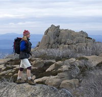 Mount Buffalo National Park - Accommodation in Bendigo