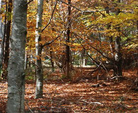 RJ Hamer Arboretum - Accommodation in Bendigo 0