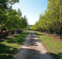 Waybourne Winery - Accommodation in Bendigo