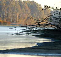 Barmah National Park - Accommodation in Bendigo