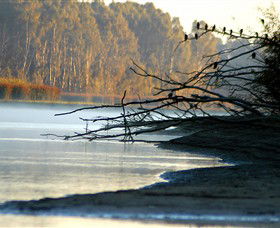 Barmah National Park - Accommodation in Bendigo 0