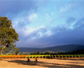 Mount Avoca - Accommodation in Bendigo 0