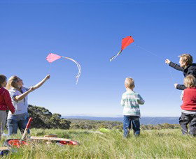Dinner Plain Alpine Village - Accommodation in Bendigo 0
