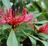 Alfred National Park - Accommodation in Bendigo