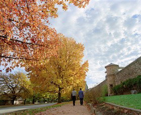 Beechworth Historic And Cultural Precinct - Accommodation in Bendigo 0