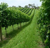 The Cups Estate - Accommodation in Bendigo