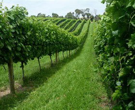 The Cups Estate - Accommodation in Bendigo 0