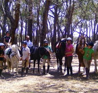 Bellarine Horse Riding Centre - Accommodation in Bendigo