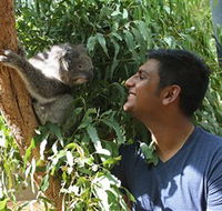 Healesville Sanctuary - Accommodation in Bendigo
