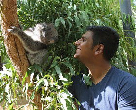 Healesville Sanctuary - Accommodation in Bendigo 0