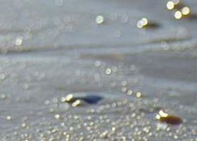 Walkerville South VIC Accommodation in Bendigo