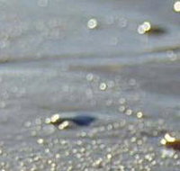 Cape Liptrap Coastal Park - Accommodation in Bendigo