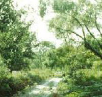 Holey Plains State Park - Accommodation in Bendigo