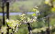 Eldridge Estate Of Red Hill - thumb 0