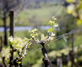 Eldridge Estate Of Red Hill - Accommodation in Bendigo 0