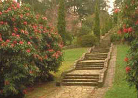 Maroondah Reservoir Park - Accommodation in Bendigo 0
