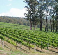 Piedmont Vineyard - Accommodation in Bendigo