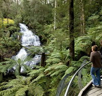 Great Otway National Park - Accommodation in Bendigo