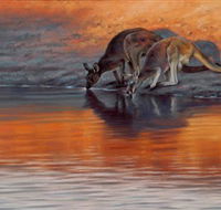 Steve Morvell Wildlife Art - Accommodation in Bendigo