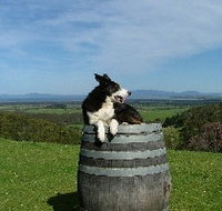 Windy Ridge Vineyard and Winery - Accommodation in Bendigo