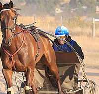 Ballarat  District Trotting Club - Accommodation in Bendigo