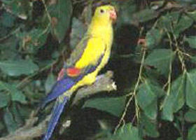 Broughton VIC Accommodation in Bendigo