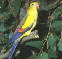 Lake Hindmarsh Reserve - Accommodation in Bendigo