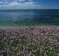 The Lakes National Park - Accommodation in Bendigo