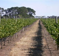 Mount Beckworth Wines - Accommodation in Bendigo