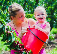 Cherryhill Orchards - Accommodation in Bendigo