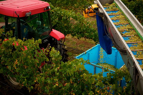 GREENSTONE VINEYARDS - Accommodation in Bendigo 3