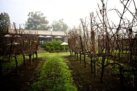 GREENSTONE VINEYARDS - Accommodation in Bendigo 4