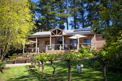Main Ridge Estate - Accommodation in Bendigo 2