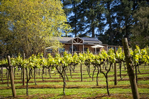 Main Ridge Estate - Accommodation in Bendigo 3
