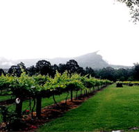 Cambewarra Estate Wines - Accommodation in Bendigo