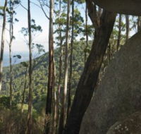 Gulaga National Park - Accommodation in Bendigo
