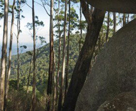 Gulaga National Park - Accommodation in Bendigo 0