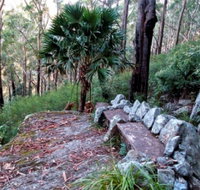 Wodi Wodi Walking Track - Accommodation in Bendigo