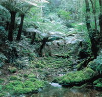 Deua National Park - Accommodation in Bendigo