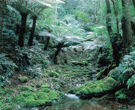 Deua National Park - Accommodation in Bendigo 0