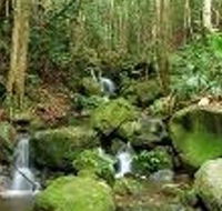 Budderoo National Park - Accommodation in Bendigo
