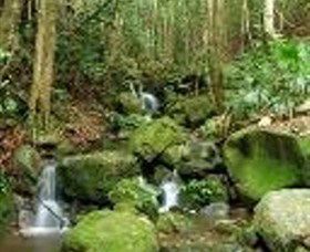 Budderoo National Park - Accommodation in Bendigo 0