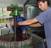 Fern Gully Winery - Accommodation in Bendigo