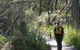 Barren Grounds Nature Reserve - thumb 0